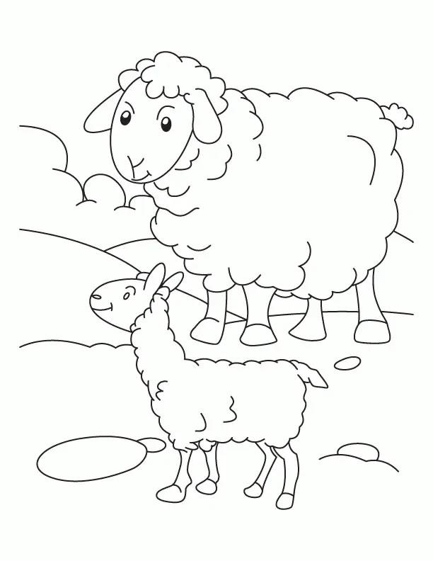 Sheep Coloring Pages 15