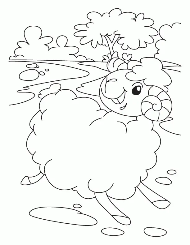 Sheep Coloring Pages 20