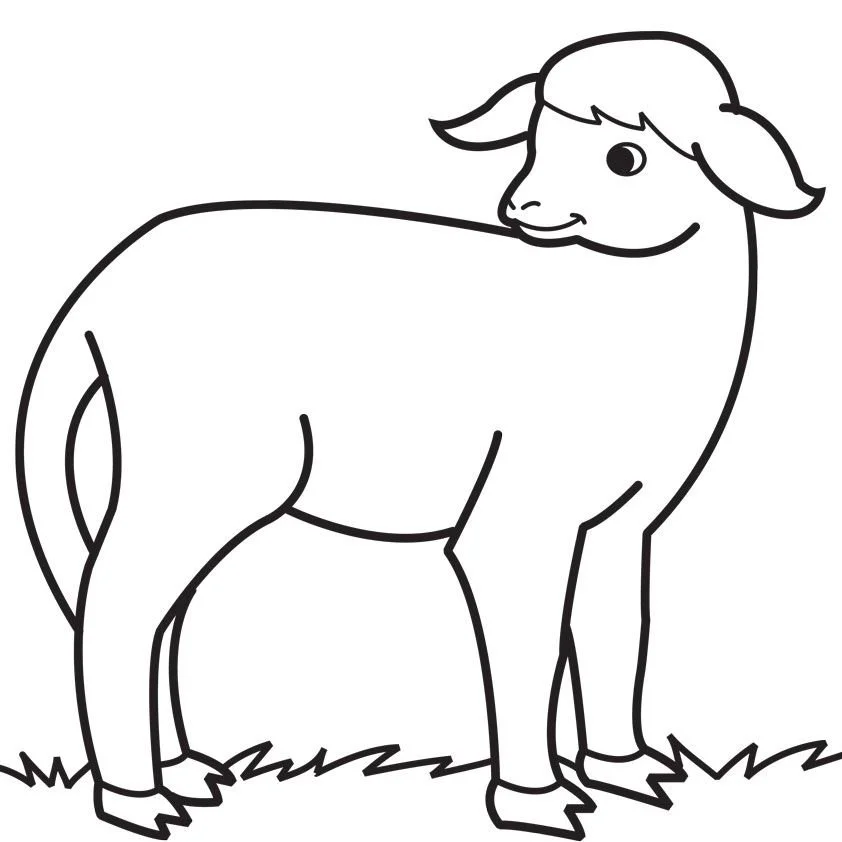 Sheep Coloring Pages 24