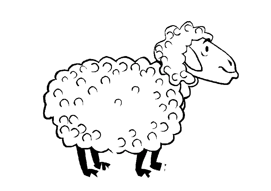 Sheep Coloring Pages 25