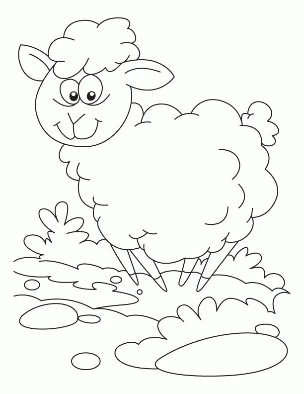 Sheep Coloring Pages 27