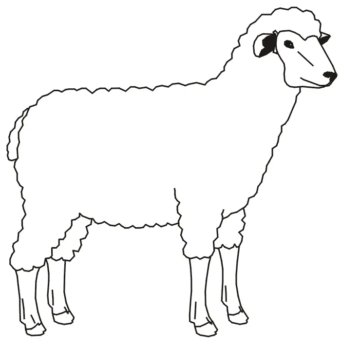 Sheep Coloring Pages 28