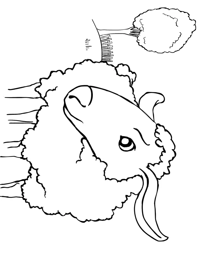 Sheep Coloring Pages 29