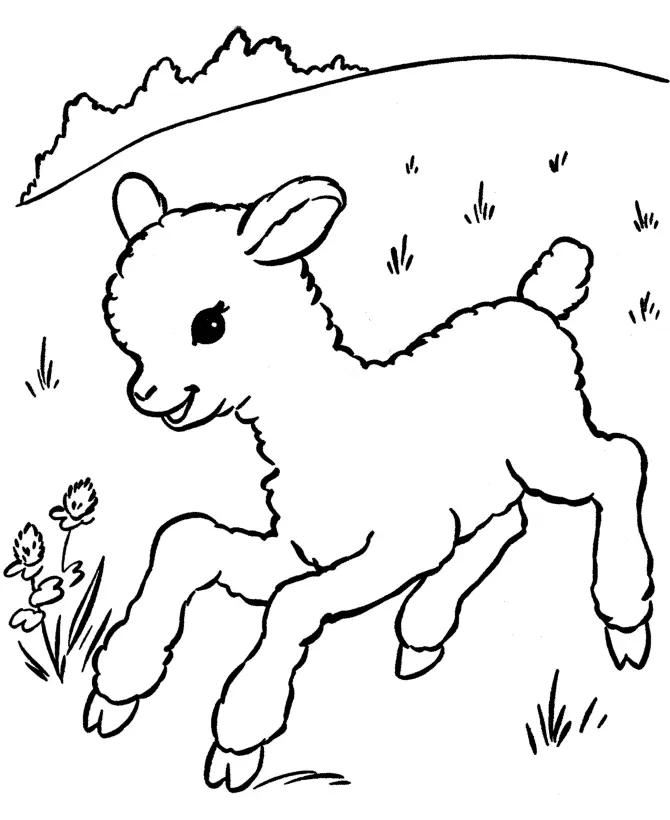 Sheep Coloring Pages 31