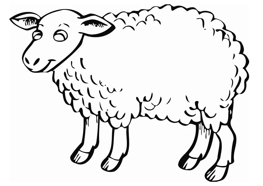 Sheep Coloring Pages 34