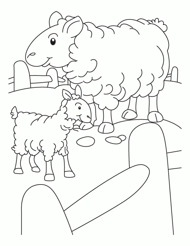 Sheep Coloring Pages 35