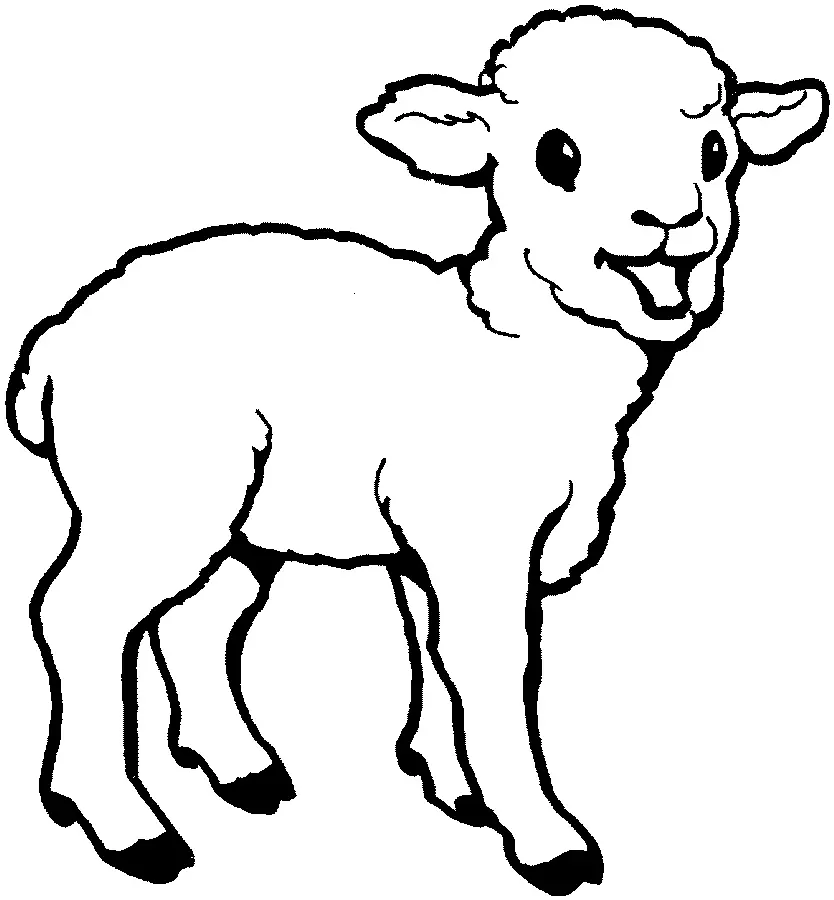 Sheep Coloring Pages 38