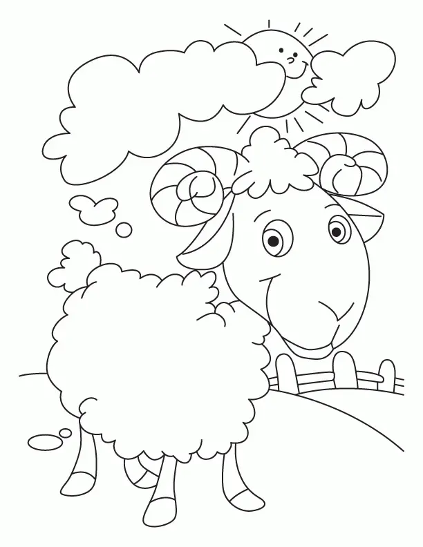 Sheep Coloring Pages 4