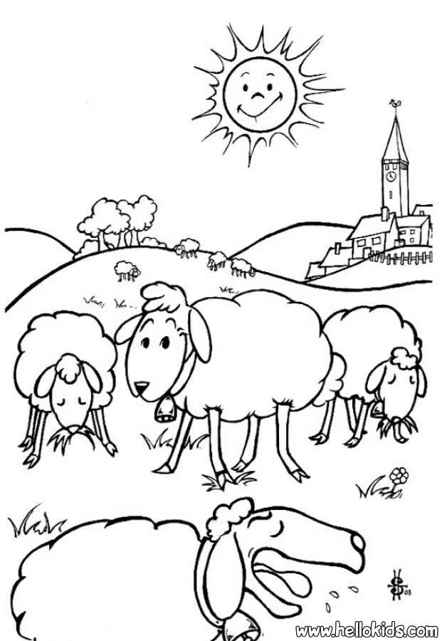 Sheep Coloring Pages 5