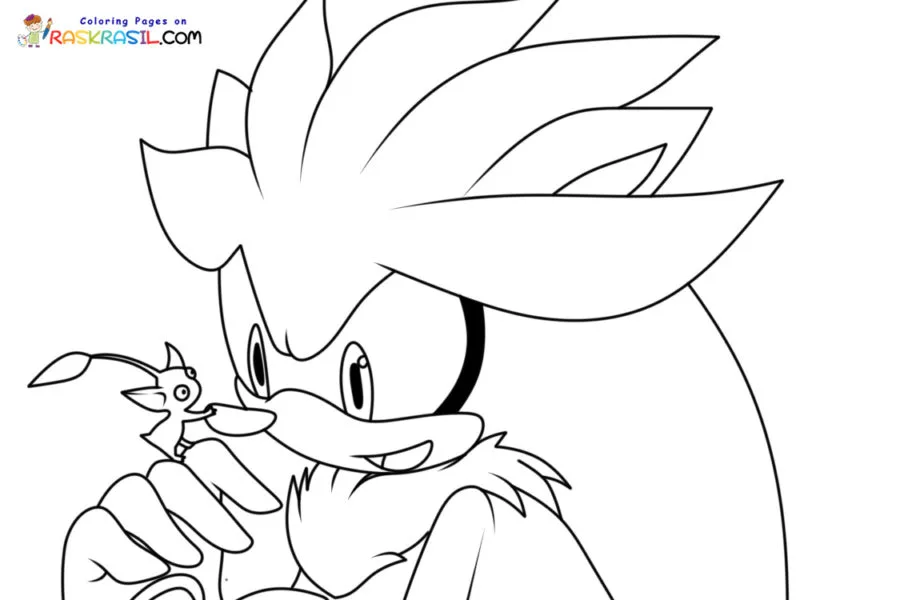 Silver the Hedgehog Para Colorir 6