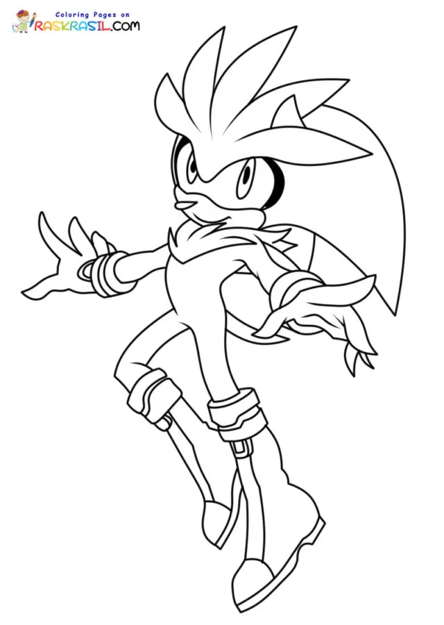 Silver the Hedgehog Para Colorir 7