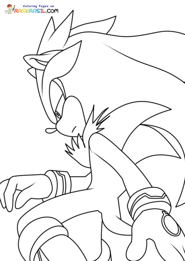 Silver the Hedgehog Para Colorir 8