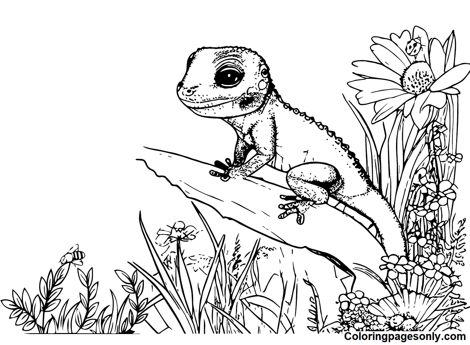 Skink Coloring Pages 10