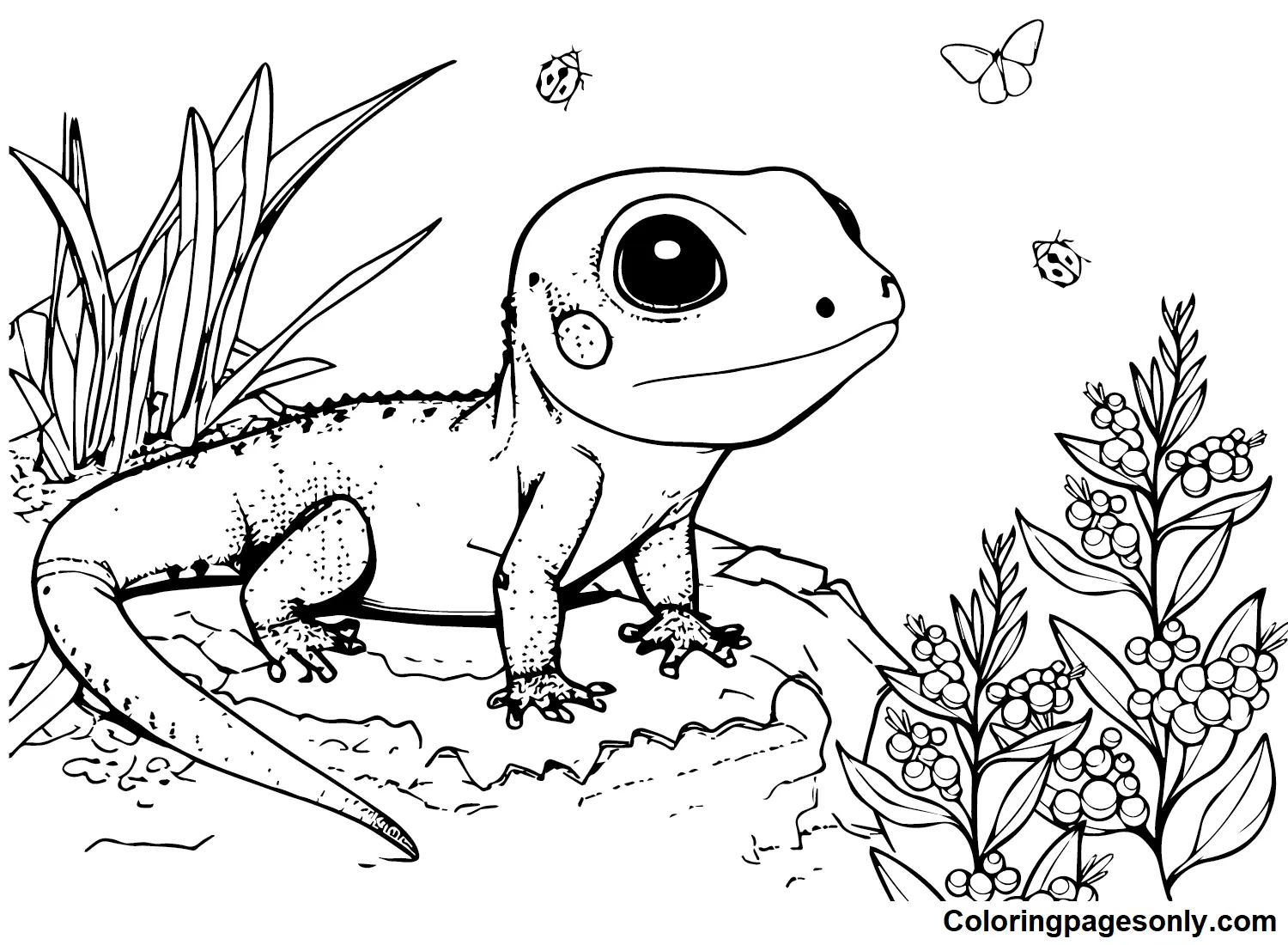 Skink Coloring Pages 19