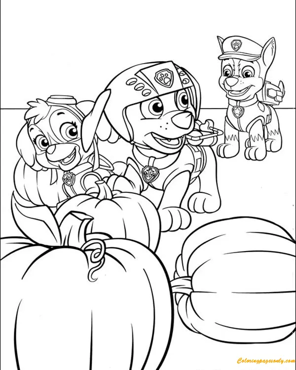 Skye Paw Patrol Coloring Pages 39