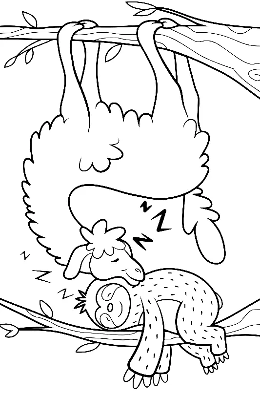 Sloth Coloring Pages