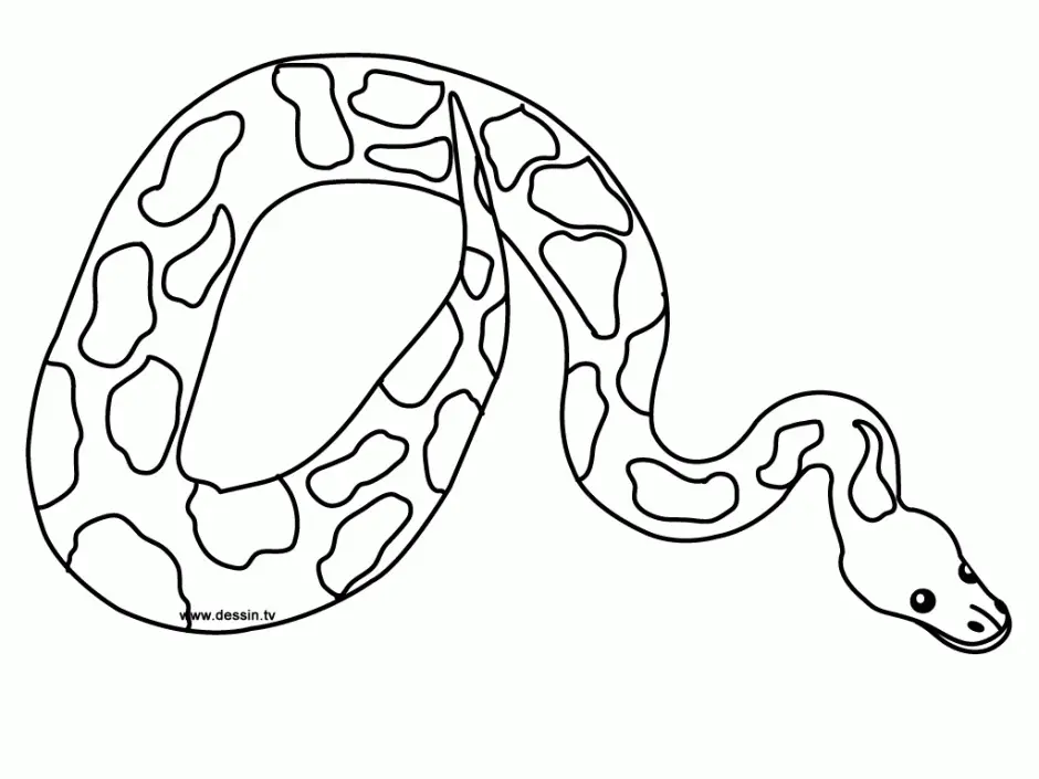 Serpiente Para Colorear 51
