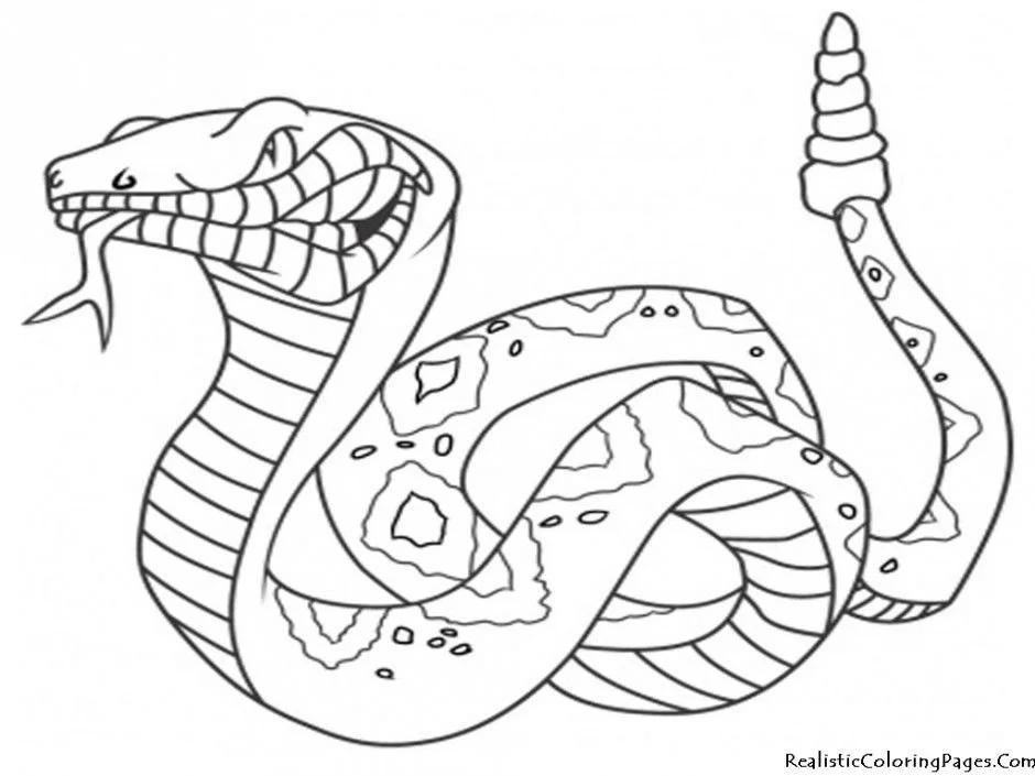 Serpiente Para Colorear 57