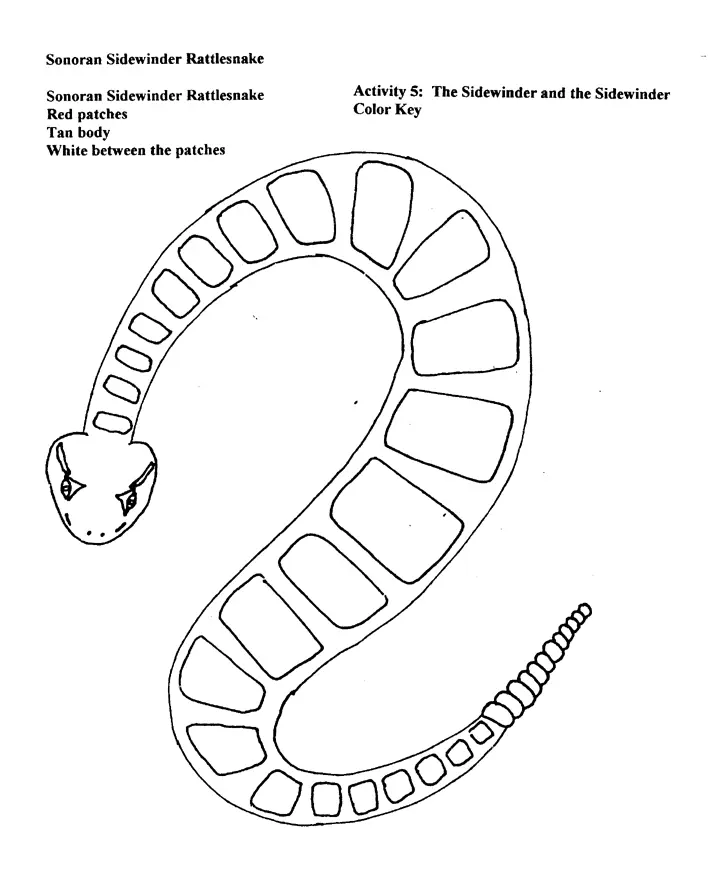 Serpiente Para Colorear 58