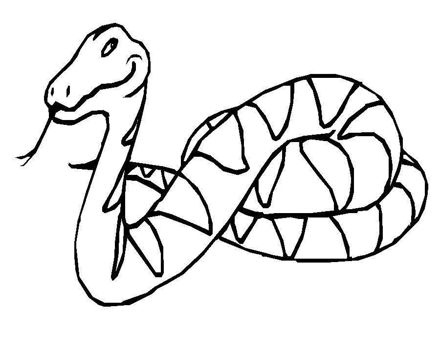 Serpiente Para Colorear 79