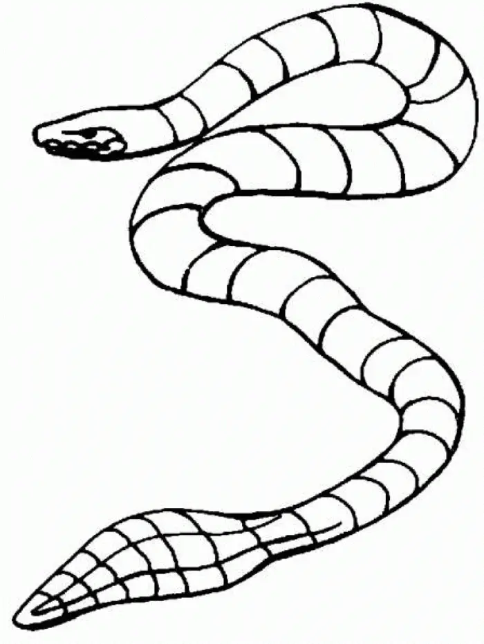 Serpiente Para Colorear 96