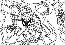 Desenhos de Spiderman Para Colorir 116