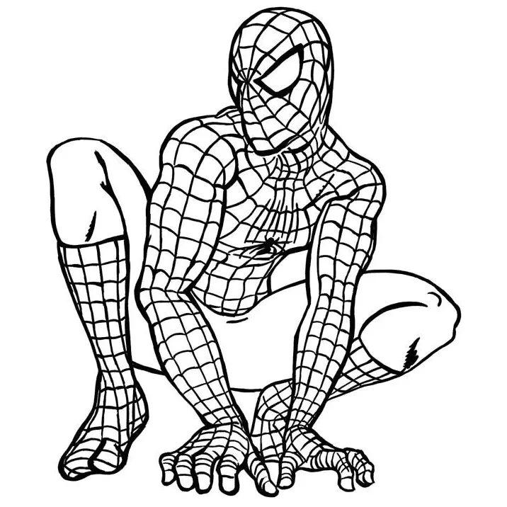 Desenhos de Spiderman Para Colorir 14