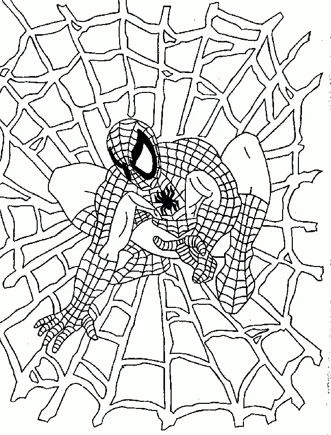 Desenhos de Spiderman Para Colorir 18