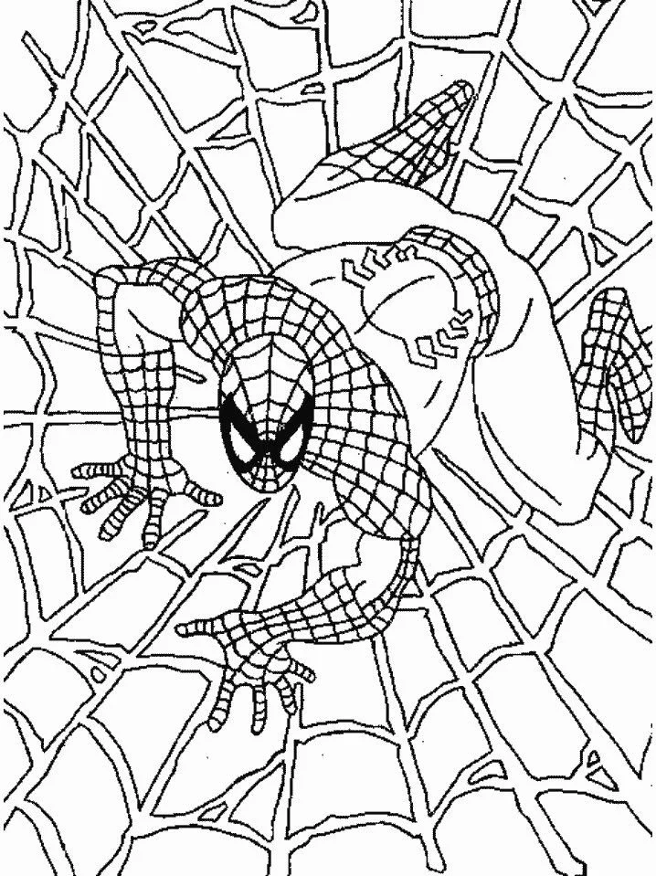 Desenhos de Spiderman Para Colorir 2