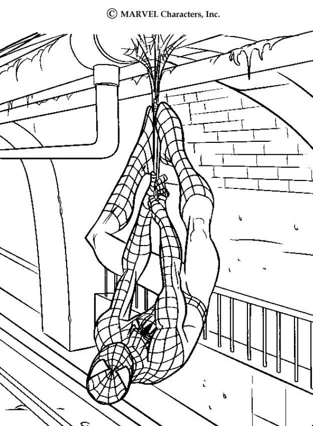 Desenhos de Spiderman Para Colorir 29