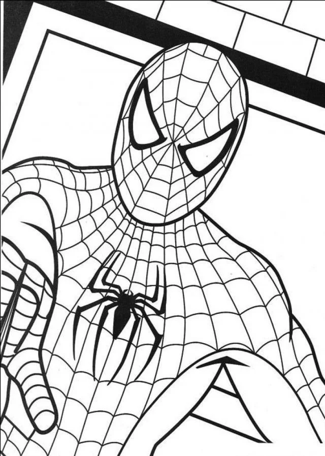 Desenhos de Spiderman Para Colorir 31