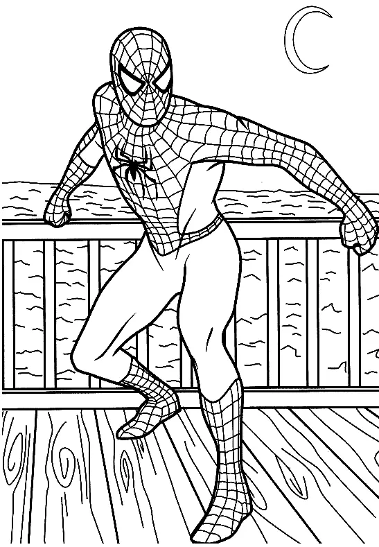 Desenhos de Spiderman Para Colorir 44