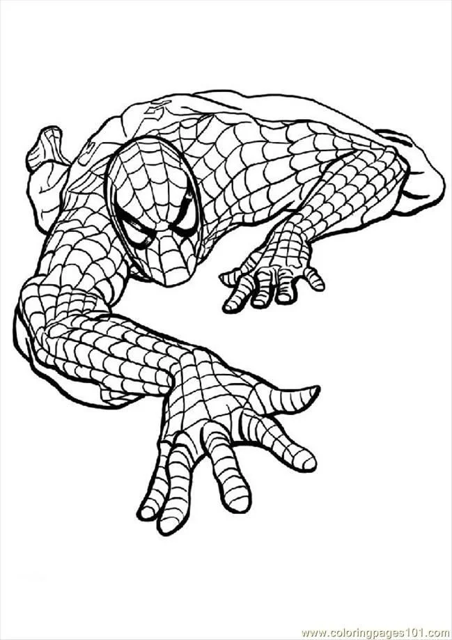 Desenhos de Spiderman Para Colorir 8