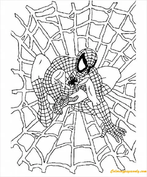 Desenhos de Spiderman Para Colorir 85