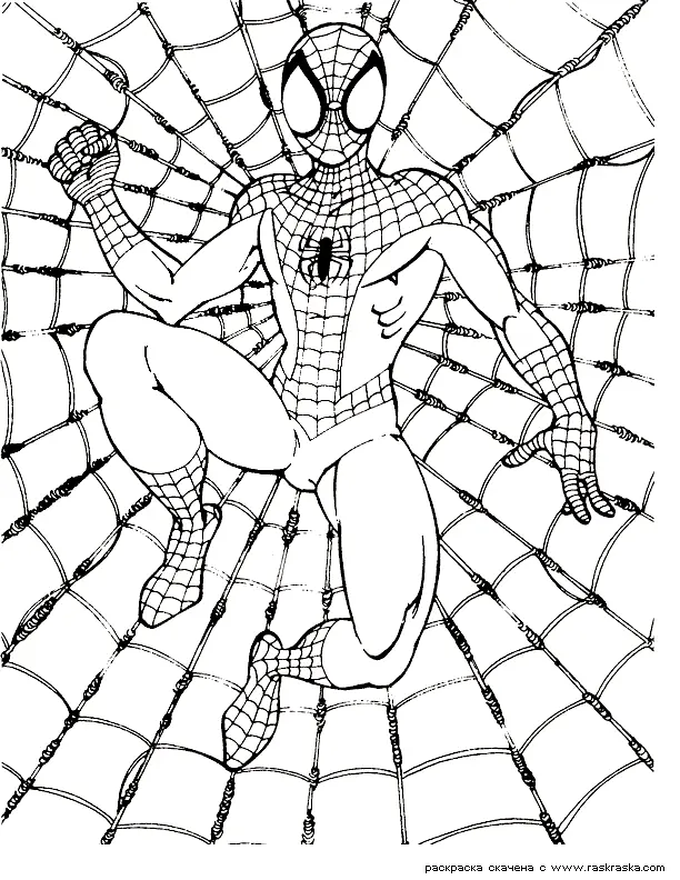 Desenhos de Spiderman Para Colorir 9