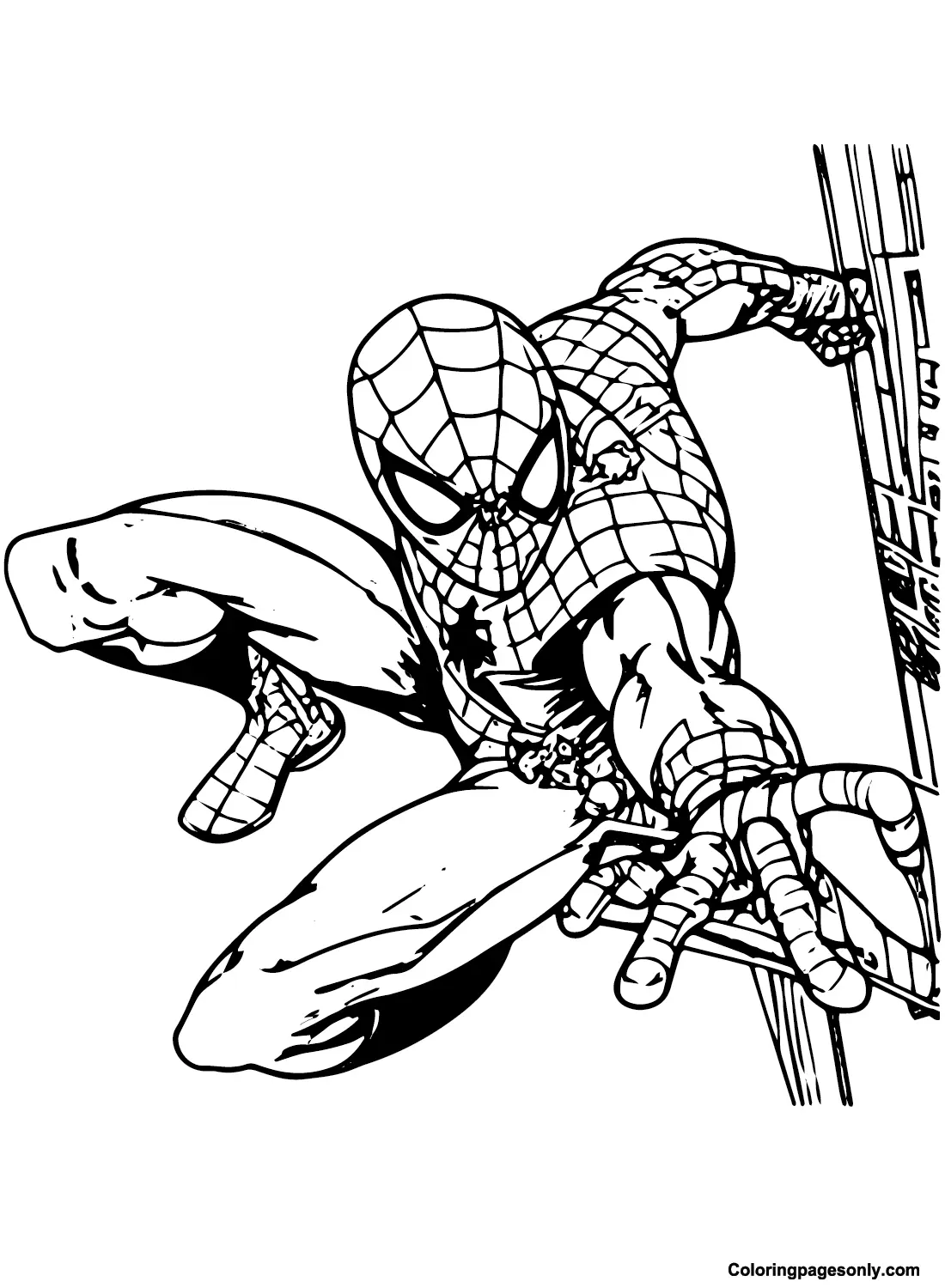 Spidey Para Colorear