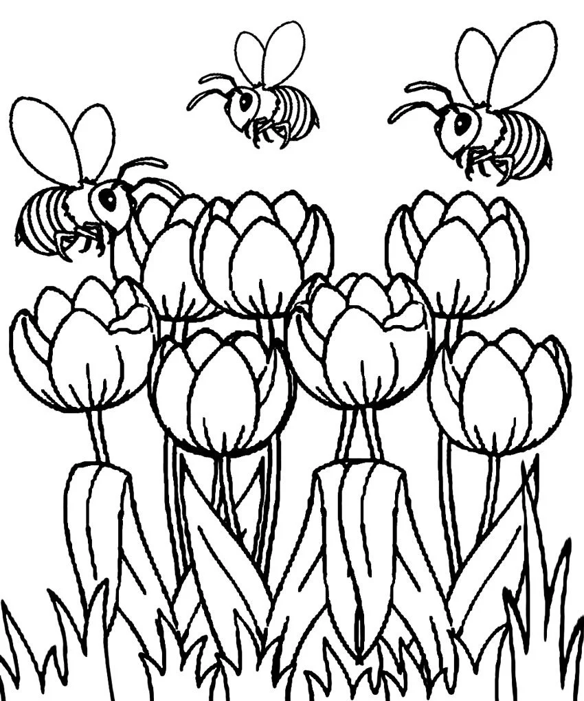 Desenhos de Primavera Para Colorir 10