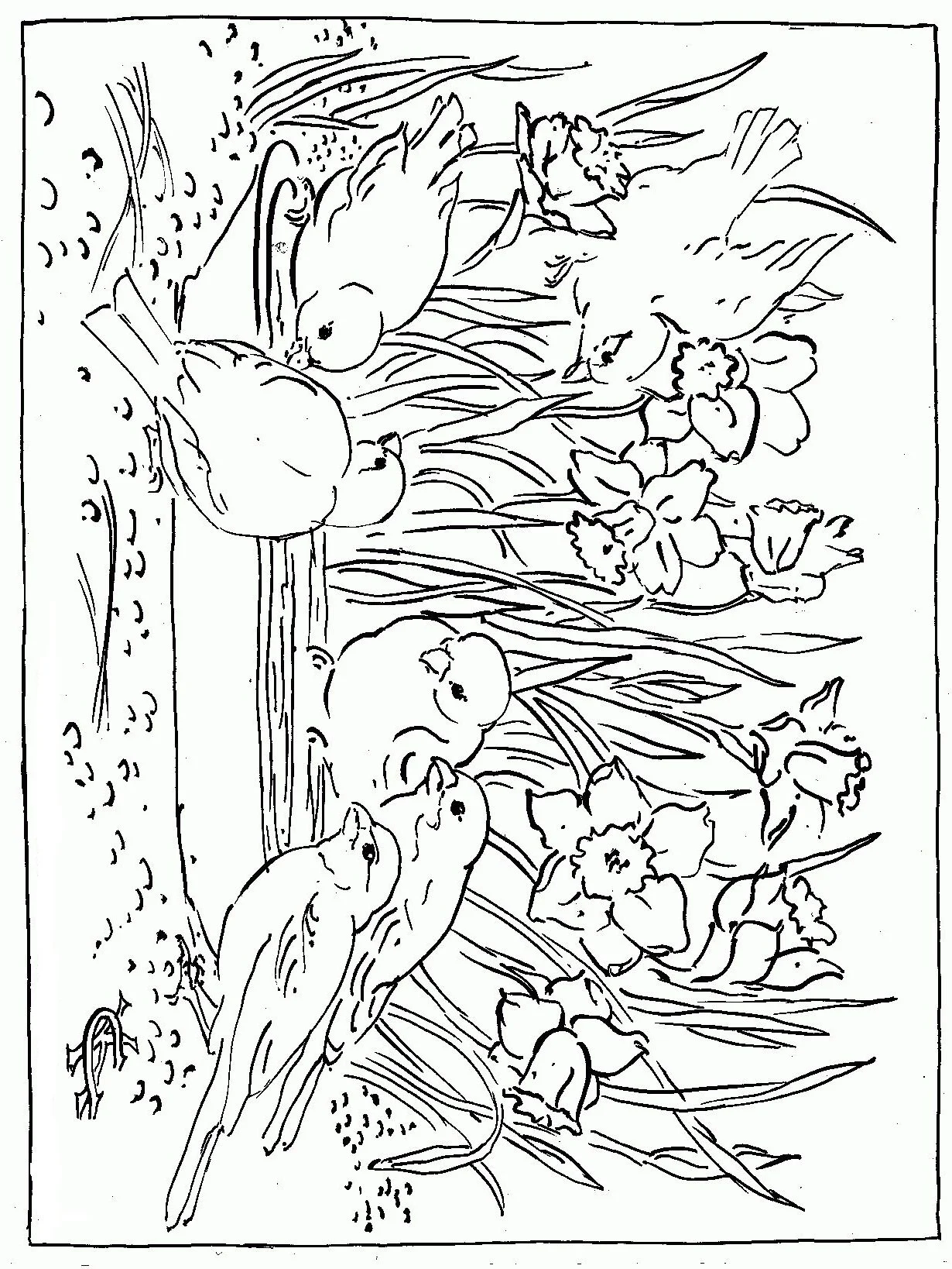 Desenhos de Primavera Para Colorir 14