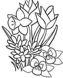 Desenhos de Primavera Para Colorir 15