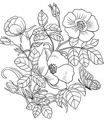 Desenhos de Primavera Para Colorir 35