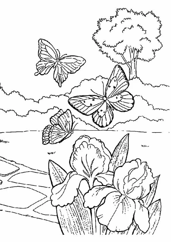 Desenhos de Primavera Para Colorir 38