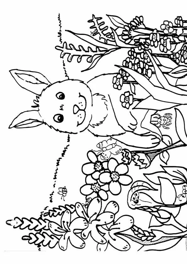 Desenhos de Primavera Para Colorir 54