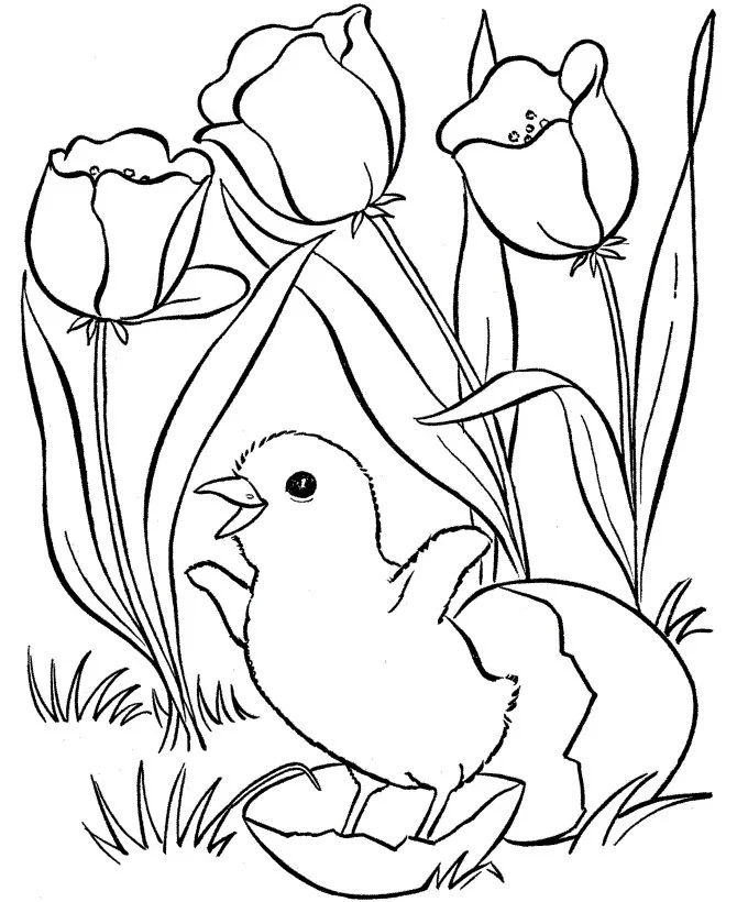 Desenhos de Primavera Para Colorir 85