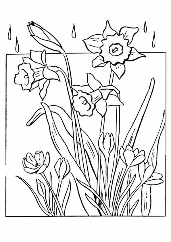 Desenhos de Primavera Para Colorir 93