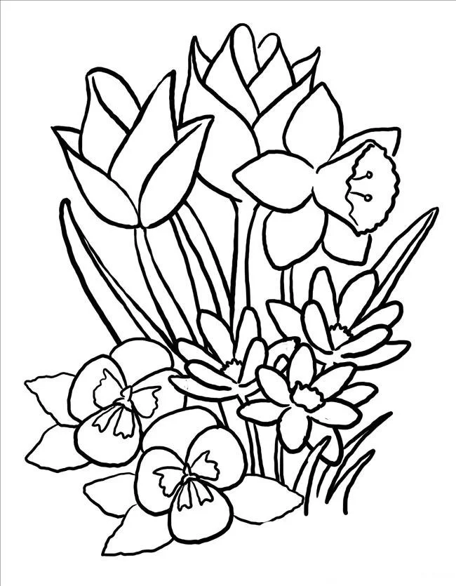 Desenhos de Primavera Para Colorir 98