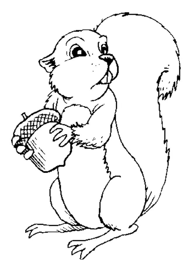 Squirrel Coloring Pages 10