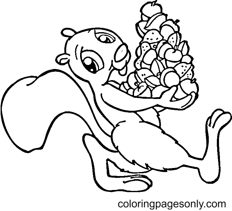 Squirrel Coloring Pages 111