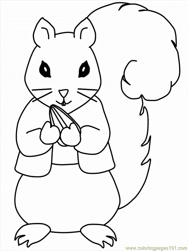 Squirrel Coloring Pages 13