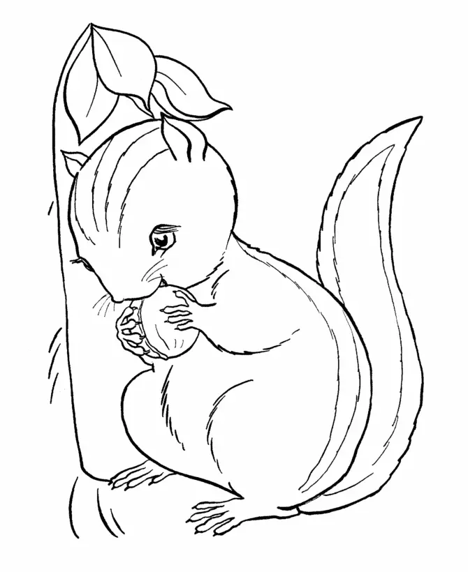 Squirrel Coloring Pages 22