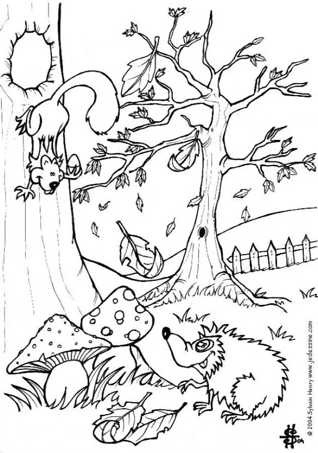 Squirrel Coloring Pages 23